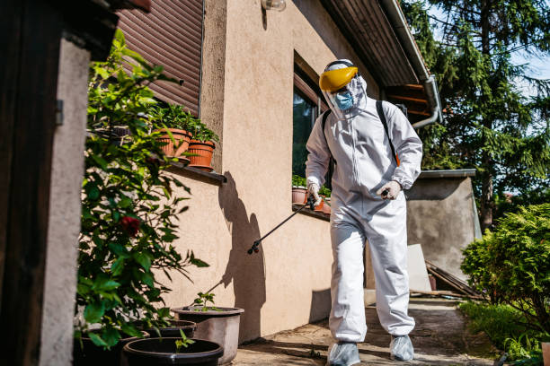 Best Residential Pest Control  in Dundee, NY