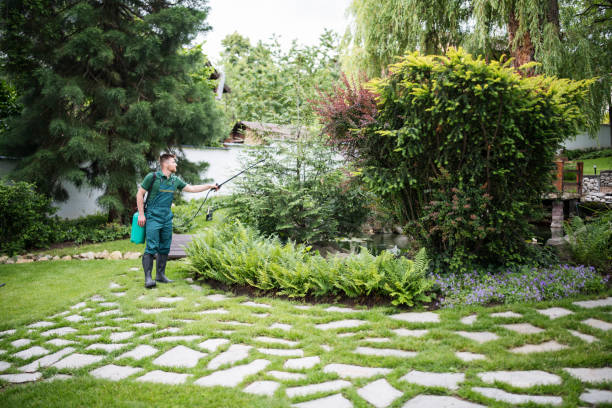 Best Best Pest Control Companies  in Dundee, NY