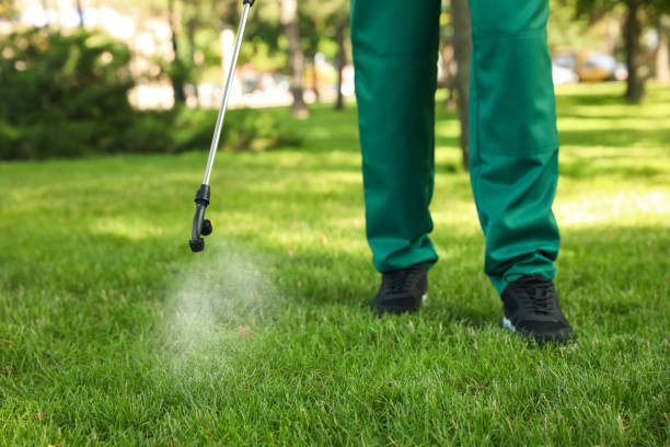 Best Pest Prevention Services  in Dundee, NY