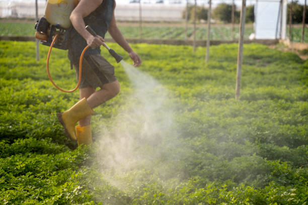 Best Affordable Pest Control Services  in Dundee, NY