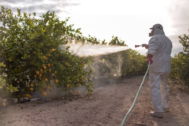 Best Commercial Pest Control Services  in Dundee, NY
