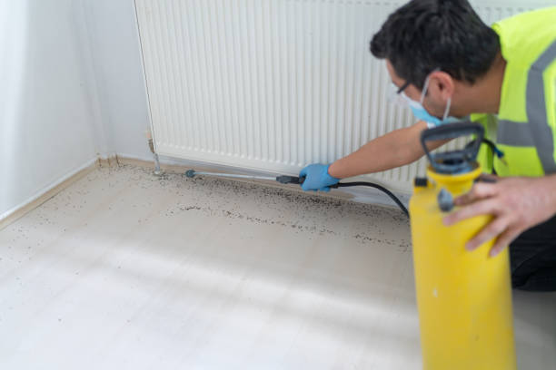 Best Pest Removal Services  in Dundee, NY